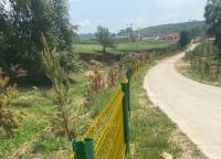 齊齊哈爾護欄網多少錢一米？