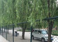 體育場圍網常用規格介紹