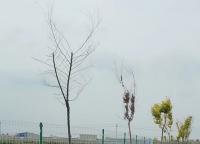 景區護欄網顏色如何進行選擇？